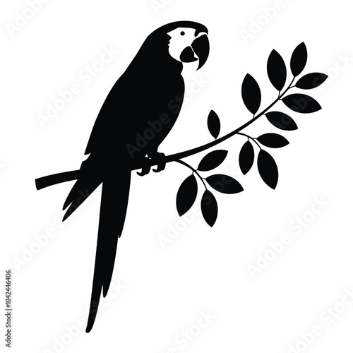 A striking black silhouette of a parrot perched on a leafy branch