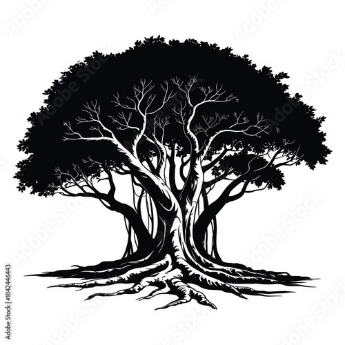 A striking black and white illustration of a large mature tree
