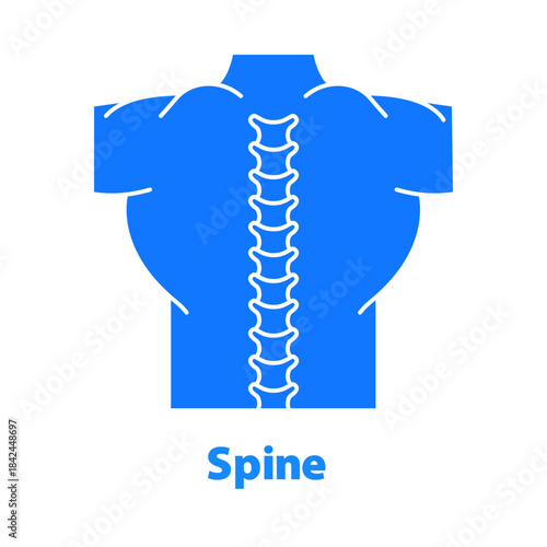 Spine Anatomy Silhouette Vector

Human Spine Solid Structure Icon