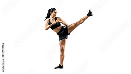 Geometric low poly female martial artist in high kick pose