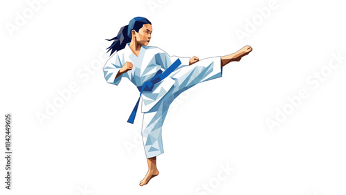 Polygonal art of female martial artist performing high kick in karate gi