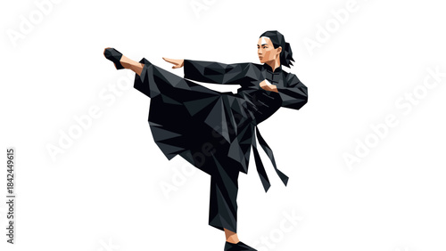 Dynamic low poly karate kick featuring a martial artist in black uniform