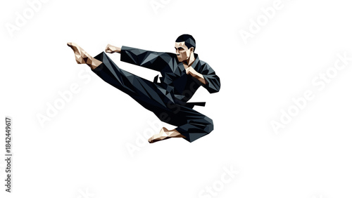 Geometric martial arts pose: dynamic low-poly karate kick in action