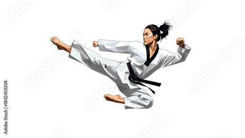 Dynamic martial artist executing a high kick in polygonal art style