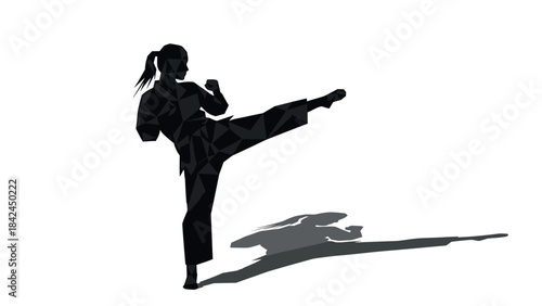 Geometric silhouette of female martial artist kicking with dynamic shadow