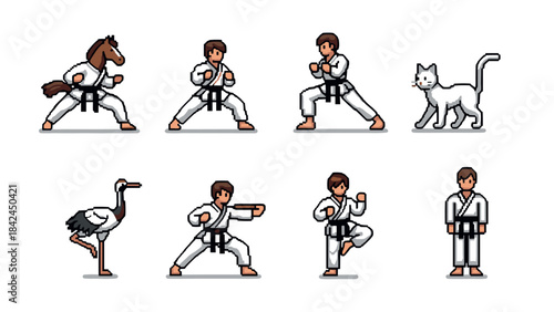 Martial arts characters in 8-bit style featuring animals in karate poses