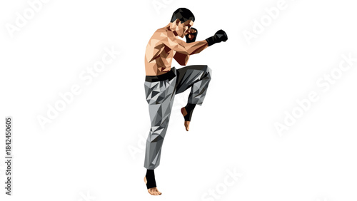 Low poly art of martial artist in dynamic fighting pose on white background