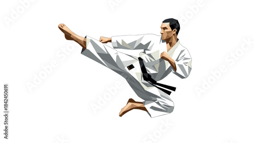 Geometric martial artist kicking in karate gi