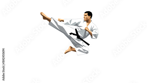 Low poly karate martial artist performing high kick in dynamic motion