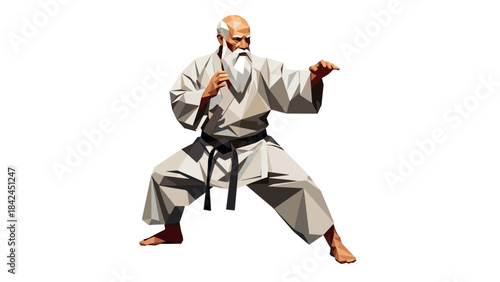 Geometric martial artist in a white gi performing a karate stance