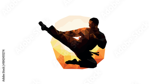Geometric karate fighter kicking silhouette against sunset background
