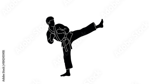 Martial arts silhouette of karate fighter in high kick pose on white background