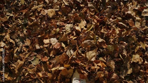 A person in yellow pants walks on a thick layer of colorful autumn leaves. Slow motion