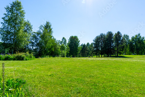 Bilde på lerret Sunny Green Public Park in Norway with Blue Sky and Mixed Trees Summer Landscape