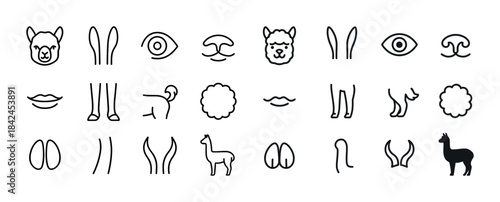 Simple alpaca icon set: faces, bodies, features in minimal outli
