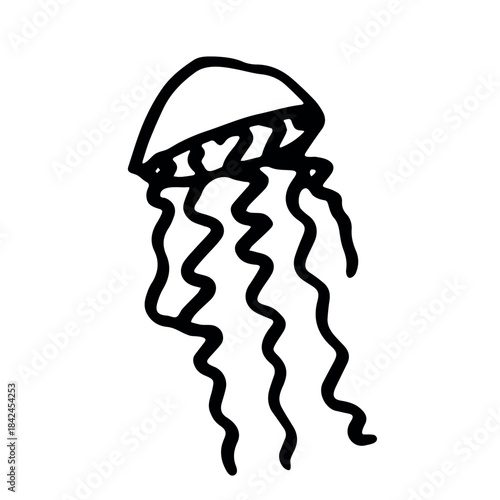 Hand drawn jellyfish doodle Sea animal illustration Cute marine underwater creature Medusa sketch clipart Single element for web, design, decor, children's print