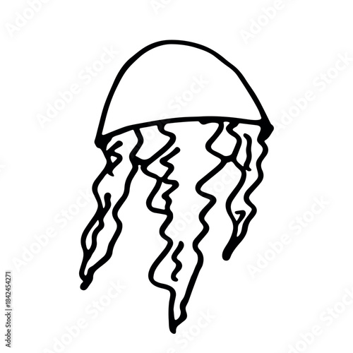 Hand drawn jellyfish doodle Sea animal illustration Cute marine underwater creature Medusa sketch clipart Single element for web, design, decor, children's print