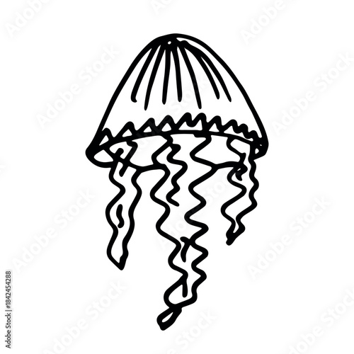 Hand drawn jellyfish doodle Sea animal illustration Cute marine underwater creature Medusa sketch clipart Single element for web, design, decor, children's print
