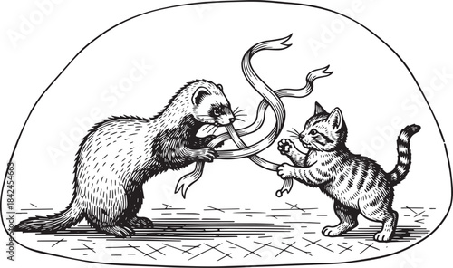 Vintage engraving of a ferret and kitten playing with a ribbon o