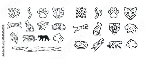 Leopard icon set: silhouettes, paws, patterns, and expressions