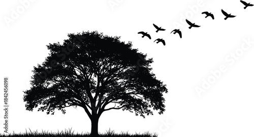 Black silhouette of a leafy tree with grass and flock of birds flying away white