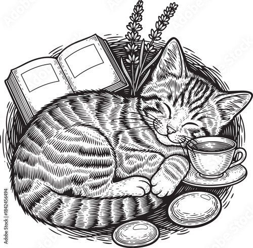 Vintage Style Engraved Illustration of a Sleeping Cat with Book