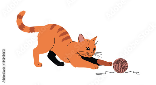 Playful ginger tabby cat with stripes in a crouched pounce position reaching for a ball of brown yarn on a white background.
