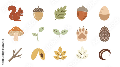 A charming collection of flat vector illustrations showcasing various autumn forest elements, including a squirrel, acorns, leaves, mushrooms, and a paw print.