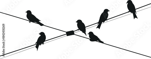 Collection of Cranes, Heavy Construction Machinery, Transportation Vehicles, and Logistics Symbols for Industrial Vector Graphics.