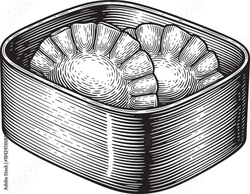 Engraved Illustration of Asian Dumplings in a Square Bento Box C