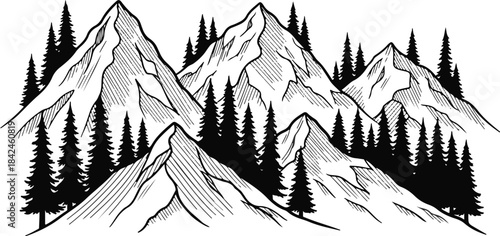 Mountain landscape with pine trees, outdoor adventure, nature exploration