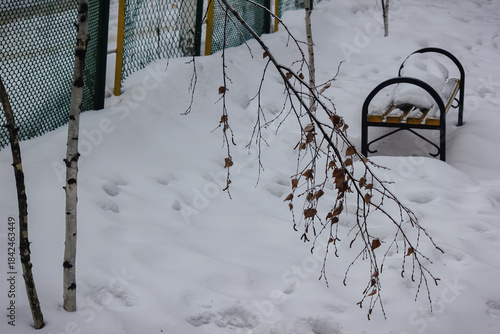 Birch tree branch with dry leaves hangs over a snow-covered park bench near a metal wire fence in winter