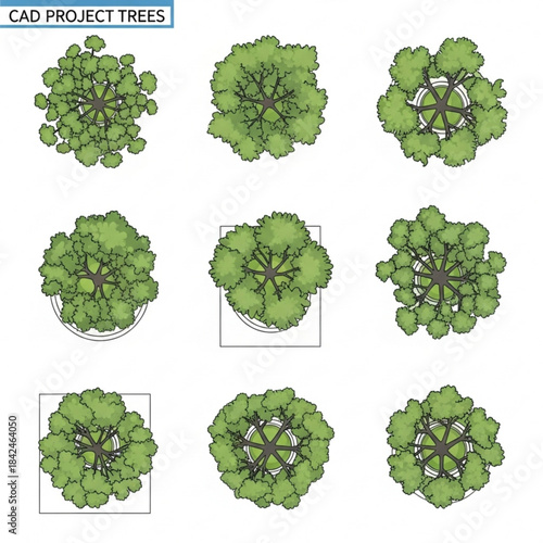 “Hand-Drawn Vector Trees Collection – Top View and Front View Green Landscape Illustrations for CAD and Architectural Design”