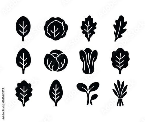 Leafy Greens Icons. Leafy greens. Solid icon set of leafy greens