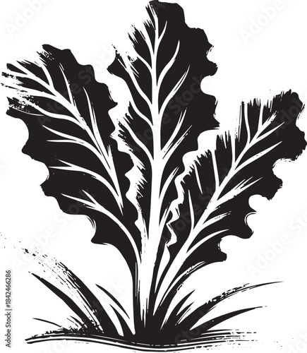 Elegant sumi-e style lettuce leaf graphic element for culinary c