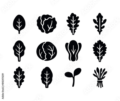 Leafy Greens Icons. Leafy greens. Solid icon set of leafy greens