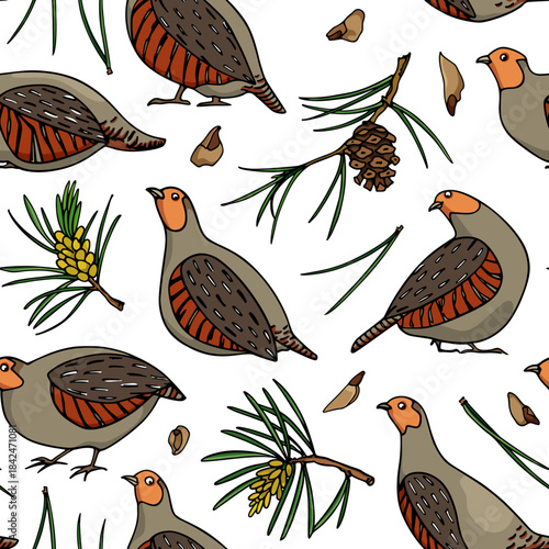 Vector seamless pattern with hand drawn flock of Grey Partridges among conifer twigs, seeds and cones. Beautiful illustration, ink drawing. Perfect for prints and patterns