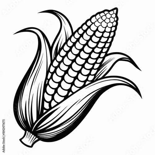 A stylized black and white illustration of a ripe corn cob, partially enclosed by its green leaves, set against a white background.