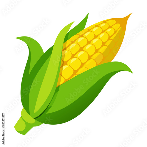 A vibrant, stylized illustration of a ripe ear of corn, its golden kernels peeking through lush green husks.