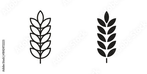Wheat icon with line and silhouette versions.