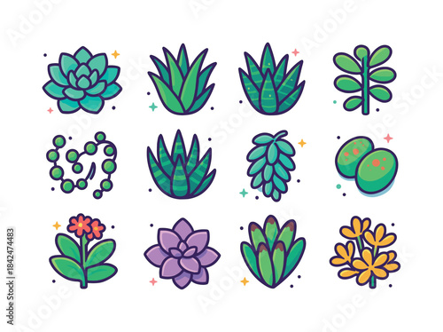 Colorful Succulent Icons. Succulents. Colorful isometric vector