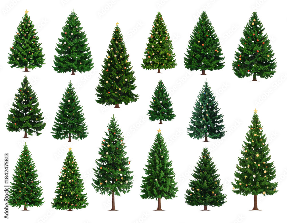 Obraz premium Set of christmas trees isolated on white