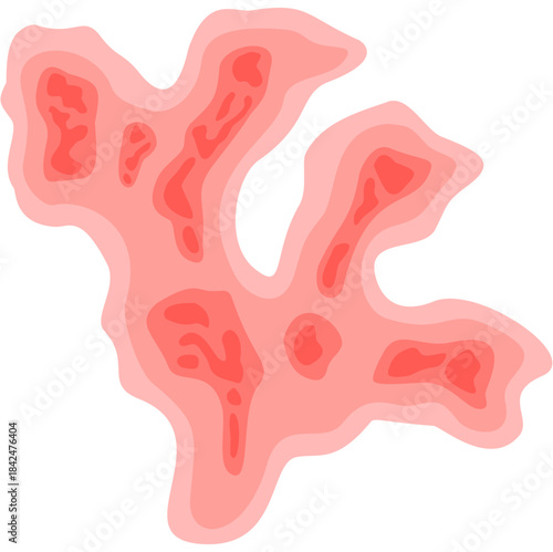 Zoster virus illustration