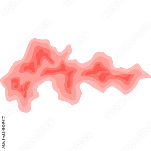 Zoster virus illustration