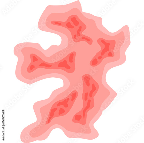 Zoster virus illustration