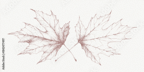 Autumn maple leaves textured with rough grain and layered dust speckles on textured paper. Vintage distress creates warm seasonal atmosphere.