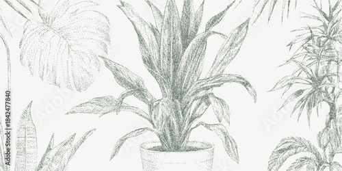 Background with potted plants with granular grain texture, scattered dust speckles and faint aging marks on rough textured paper with vintage distress.