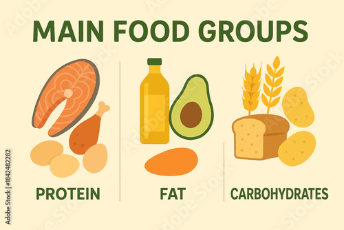 vector illustration of a main food groups macronutrients