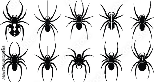 Spider Silhouette Vector Set, Detailed Black Widow and Tarantula Icons, Crawling and Hanging Spiders, Arachnid Graphics for Halloween, Creepy, Insect, and Scary Nature Designs
