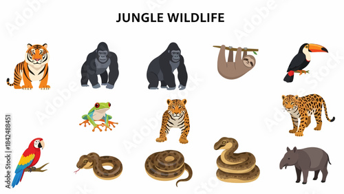 Flat design illustrations of twelve different jungle wildlife animals on a white background